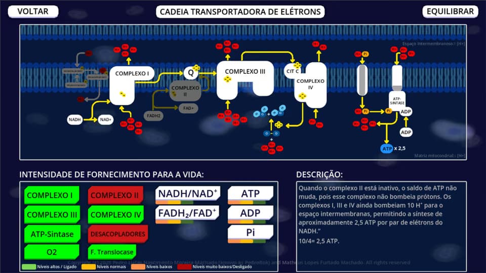 Cena da via Cadeia Transportadora no BioQBoard