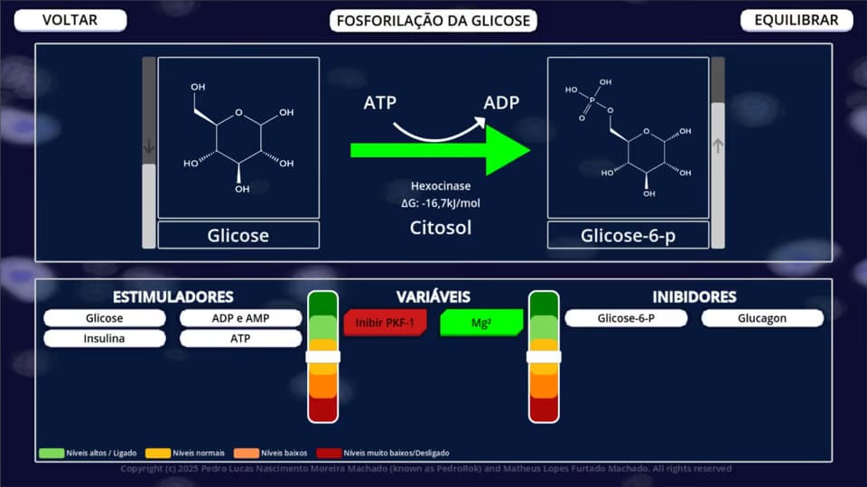 Cena da via Glicólise no BioQBoard
