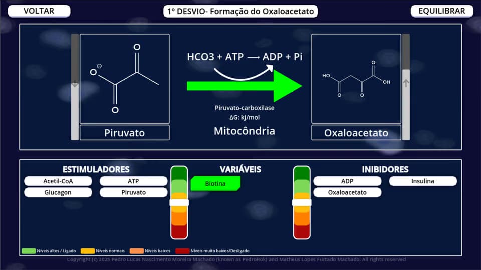 Cena da via Gliconeogênese no BioQBoard