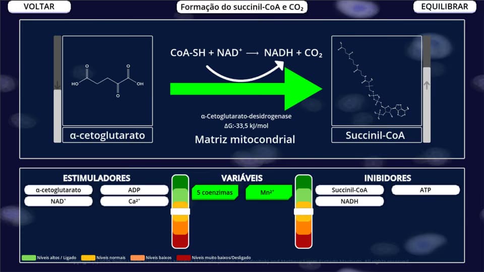 Cena da via Ciclo de Krebs no BioQBoard